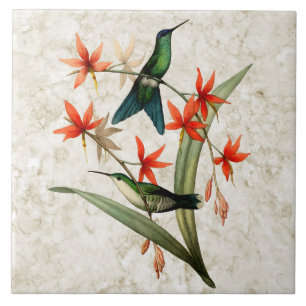 Cerâmica Azulejo tampado violeta do colibri da ninfa de