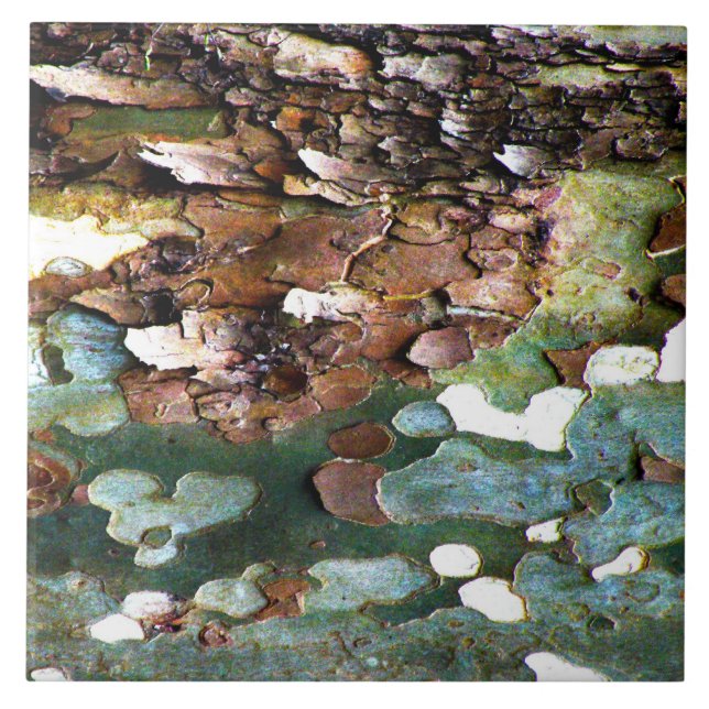 Cerâmica Azulejo Textured do latido de árvore (Frente)