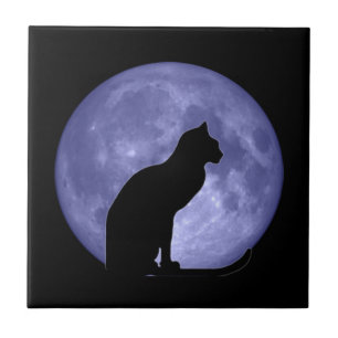 Cerâmica Azulejo Trivet da lua azul de gato preto