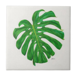 Cerâmica Azulejo tropical da folha de Monstera