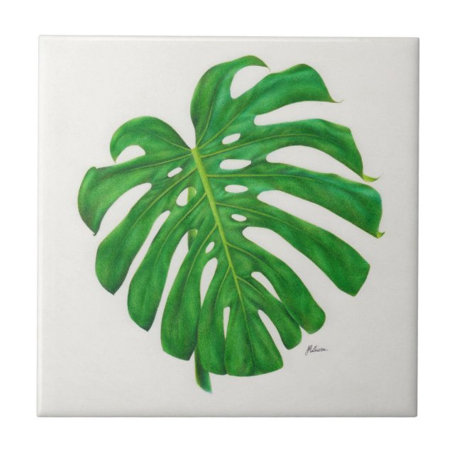 Cerâmica Azulejo tropical da folha de Monstera (Frente)
