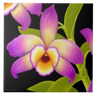Cerâmica Azulejo tropical da orquídea de Nobile do
