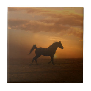 Cerâmica Belo Azulejo de Arte Sunset árabe