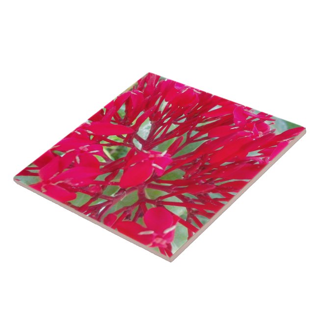 Cerâmica Belo Azulejo de flores vermelhas incríveis (Lateral)