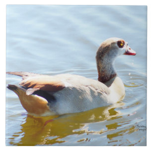 Cerâmica Belo Azulejo de pato tropical