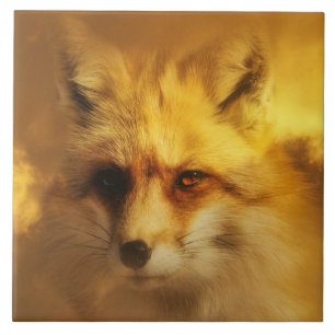 Cerâmica Belo Azulejo Nativo Americano de Arte Fox