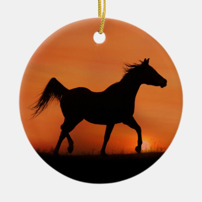 Cerâmica Belo Ornamento de Cavalo Árabe (Frente)