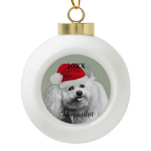 Ornamento personalizado do cão Frise de Natal Bich