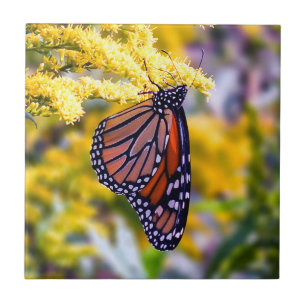 Cerâmica Borboleta de monarca no azulejo cerâmico Goldenro