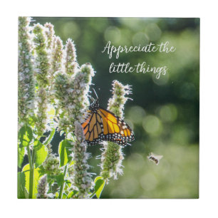 Cerâmica Borboleta e Azulejo de abelhas