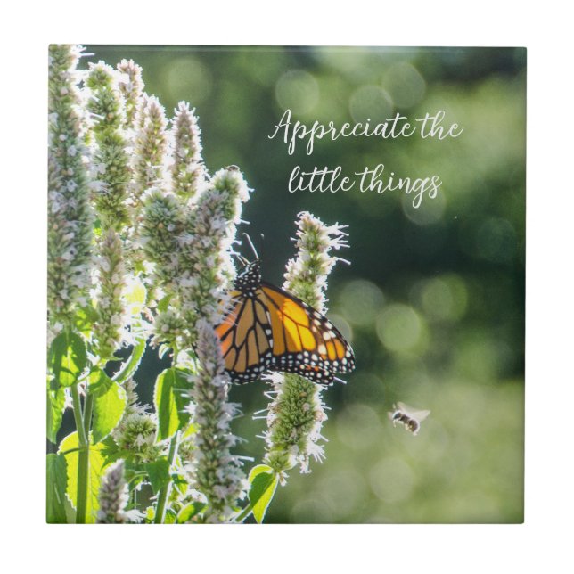 Cerâmica Borboleta e Azulejo de abelhas (Frente)