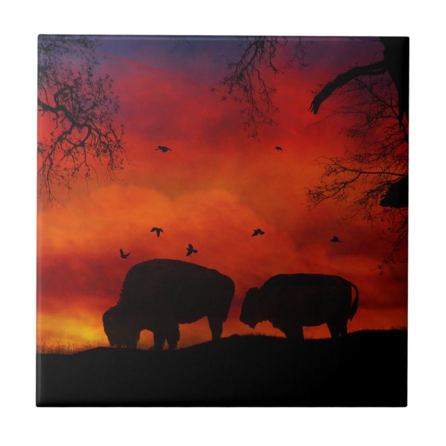 Cerâmica Buffalo no Azulejo de Arte Sunset (Frente)