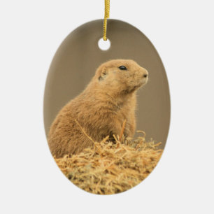 Cerâmica Cão de pradaria Aint mim ornamento bonito