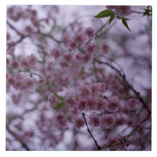 Cerâmica Cherry Blossoms no efeito 3D de brisa azulejo 6x6"