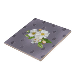 Cerâmica Cinza branco de Azulejo cerâmico