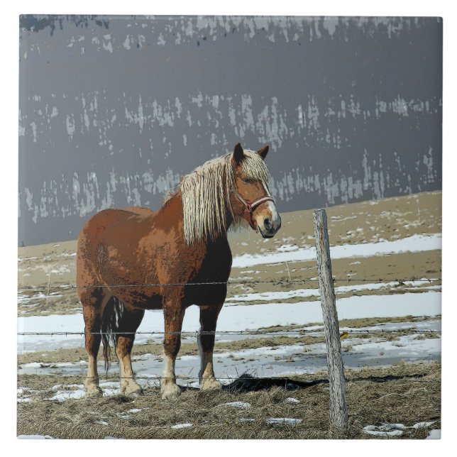 Cerâmica Coroa Belga - Azulejo Cerâmico De Paddock (Frente)