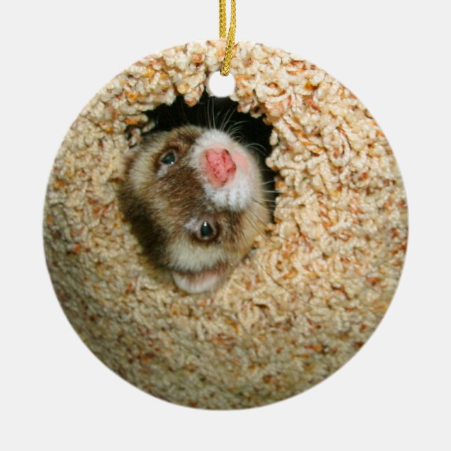 Cerâmica Couro cru - e - ornamento de Pauley da busca (Frente)