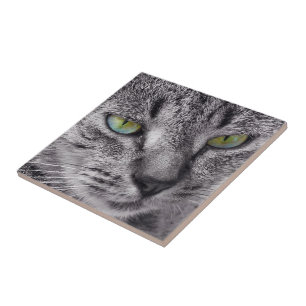 Cerâmica Criar seu próprio azulejo quadrado - gato de gato