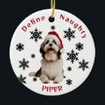 Cerâmica Definir Ornamento de Cachorro Santa Hat, travesso<br><div class="desc">Este adorável ornamento de cão Havanês captura o espírito brincalhão dos feriados! Apresentando um cachorro Havanês bonito vestindo um chapéu de Papai Noel, o ornamento é adorado com delicados flocos negros de neve espalhados por um fundo branco e nítido. A frase festiva "Definir travesso" está escrita em negrito vermelho, acrescentando...</div>