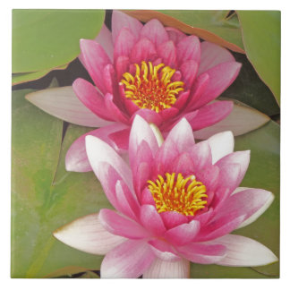 Cerâmica "DUAS FLORES DE LÓTUS ROSA" azulejo decorativo