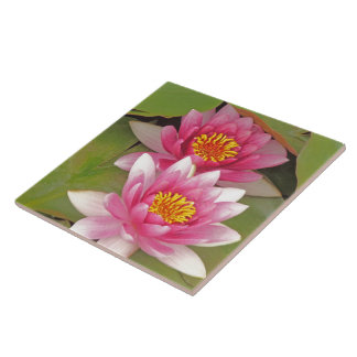 Cerâmica "DUAS FLORES DE LÓTUS ROSA" azulejo decorativo