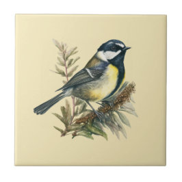 Cerâmica Estilo Natureza Tit de Carvão Azulejo cerâmico
