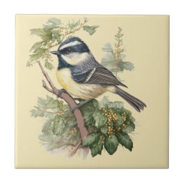 Cerâmica Estilo Natureza Tit de Carvão Azulejo cerâmico