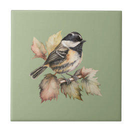 Cerâmica Estilo Natureza Tit de Carvão Azulejo cerâmico