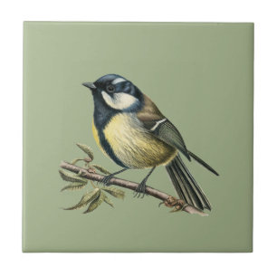 Cerâmica Estilo Natureza Tit de Carvão Azulejo cerâmico