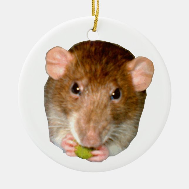 Cerâmica Eu Amo Ratos Com Ornamento De Ratos Famintos (Frente)