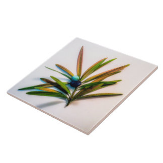 Cerâmica Evergreen Sprig com Azulejo de Berries