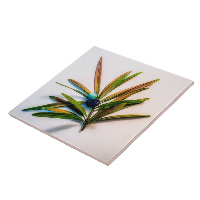 Cerâmica Evergreen Sprig com Azulejo de Berries (Lateral)