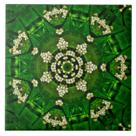 Cerâmica Flores de primavera Azulejo cerâmico