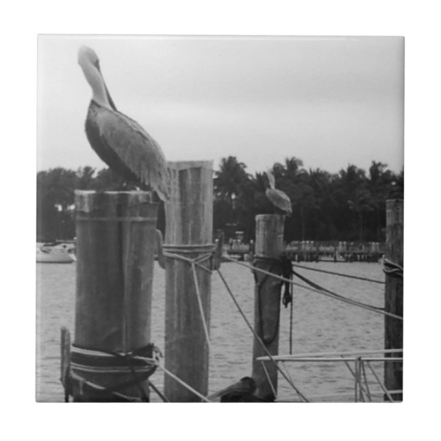 Cerâmica Flórida, Pelican no azulejo de Boatdock (Frente)