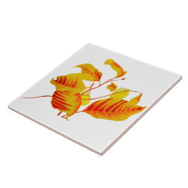 Cerâmica Folhas de madeira em Azulejo cerâmico