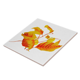 Cerâmica Folhas de madeira em Azulejo cerâmico