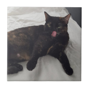 Cerâmica Foto divertida de gato com língua de fora, azulejo