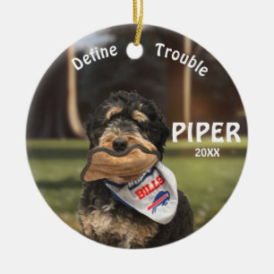 Cerâmica Futebol Bernedoodle Define Ornamento de Problemas