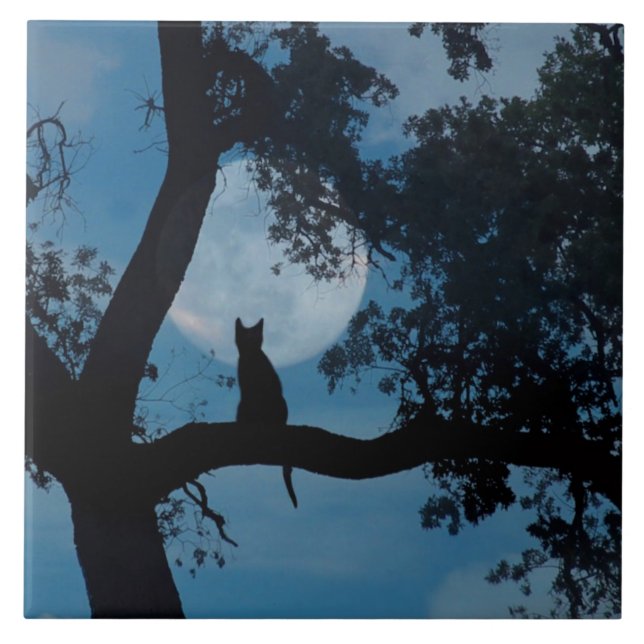 Cerâmica Gatinho bonito e Azulejo de arte lunar (Frente)