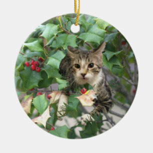 Cerâmica Gato com Ornamento de Berries Holly