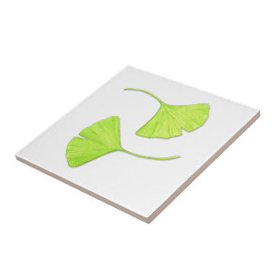 Cerâmica Ginkgo deixa Azulejo de arte natural