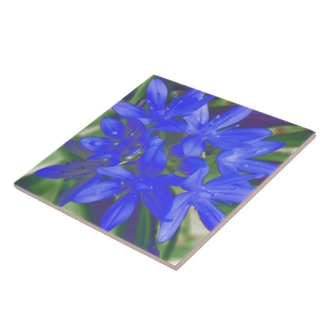 Cerâmica Glória do Azulejo Azul Fluorescente de Neve (Lateral)