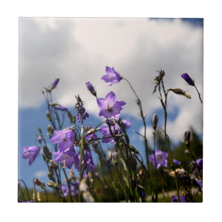 Cerâmica Harebells no azulejo de Sandias