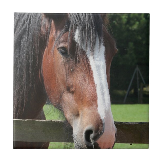Cerâmica Imagem de um azulejo ou de um Trivet de um quarto (Frente)