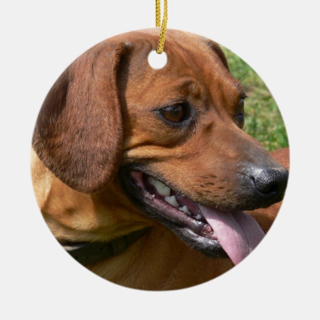 Cerâmica Imagem de um ornamento do Dachshund (Frente)