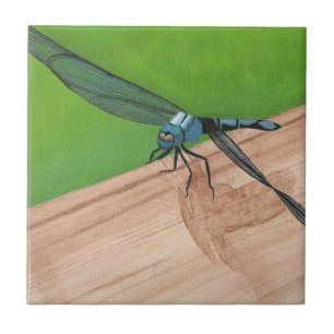 Cerâmica Inseto Dragonfly Azul em um Azulejo de trilho