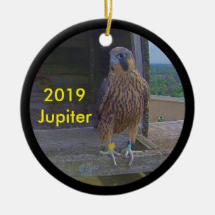Cerâmica Júpiter de ornamento cerâmico 2019