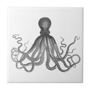 Cerâmica Kraken - Azulejo de polvo gigante negro