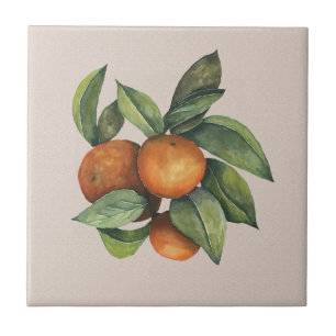 Cerâmica Laranjas de Aquarelas no Azulejo Cerâmico de Taupe