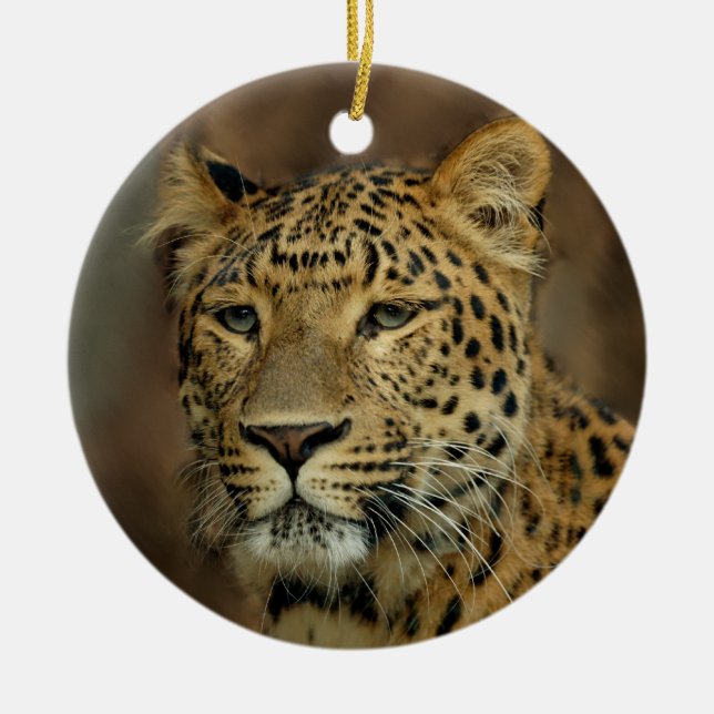Cerâmica Leopard Amava Ornamento de Árvore de Natal (Frente)